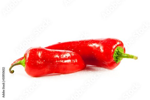Photo: Red hot chili peppers on white background. Red hot chili peppers on white background.