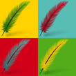 Plume pop art