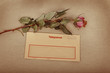 Liebesbrief mit einer Rose