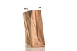 Carton bag