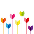 Tulpen