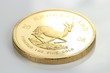 Krügerrand01