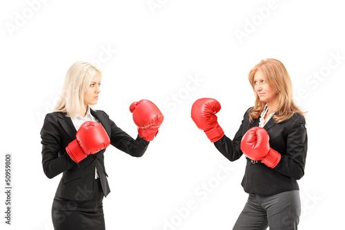 Photo: Businesswomen with boxing gloves having a fight Businesswomen with boxing gloves having a fight