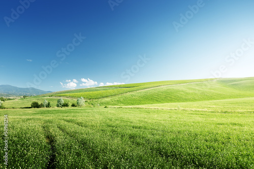 Photo: hills in sunny day Tuscany, Italy hills in sunny day Tuscany, Italy