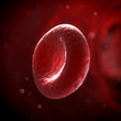 3d rendered illustration of the human blood