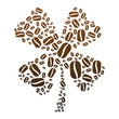 Coffee Bean Clover