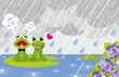 Frog couple in rainy Pond