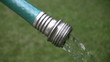 Garden hose.