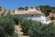 Farmhouse in olive grove, Olvera, Spain © Arena Photo UK