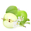 Green apples with leaf and flowers