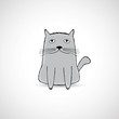 cute fat kitten