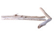 Horizontal arrow