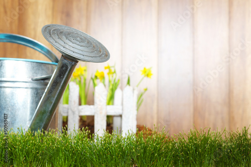 Photo: Wooden background and grass Wooden background and grass