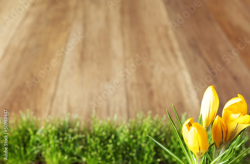 Photo: Wooden background and grass Wooden background and grass
