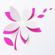 Pink paper flower vector greeting card template
