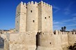Calahorra Tower in Cordoba, Spain