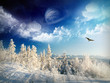 The planet in the sky on a cold day