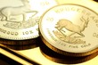 Krügerrand04