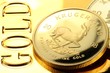 Krügerrand05