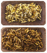 Photo: friture de guêpes : larves vivantes, larves frites friture de guêpes : larves vivantes, larves frites