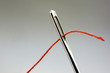 Needle