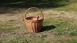 Video: Basket With Berries and Mushrooms Basket With Berries and Mushrooms