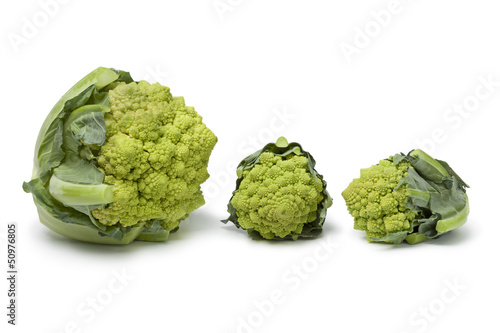 Photo: Large and mini Romanesco cabbages Large and mini Romanesco cabbages