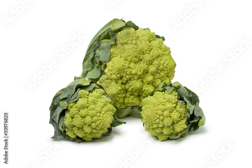 Photo: Large and mini Romanesco cabbages Large and mini Romanesco cabbages