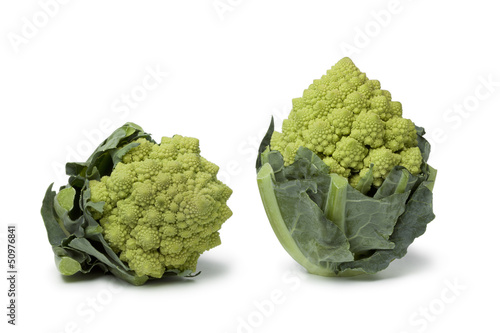 Photo: Two mini Romanesco cabbages Two mini Romanesco cabbages