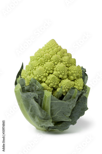 Photo: Mini Romanesco cabbage Mini Romanesco cabbage