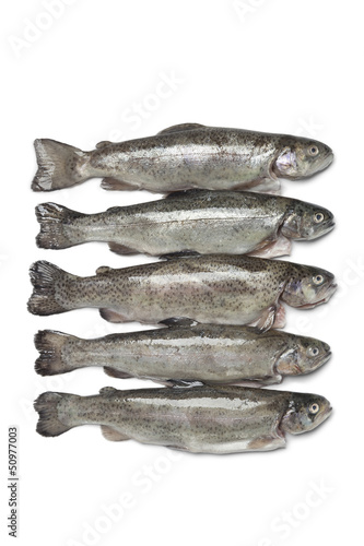 Photo: Fresh trouts Fresh trouts