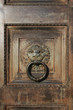 Lion's head door knocker