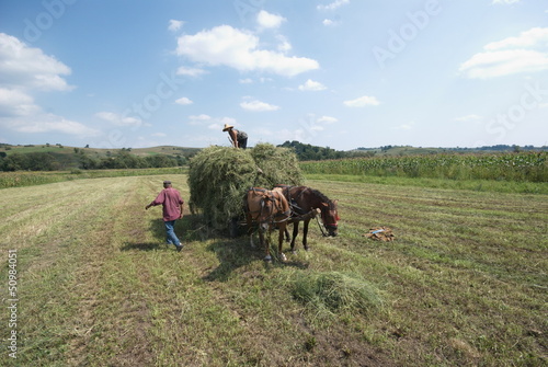 Photo: farmers at work in Transylvania, Romania farmers at work in Transylvania, Romania