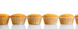 tasty muffin cakes, isolated on white