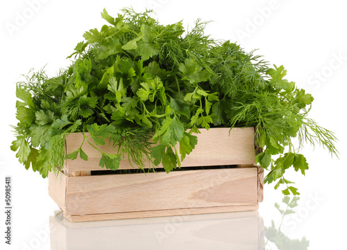 Photo: Wooden box with parsley and dill isolated on white Wooden box with parsley and dill isolated on white
