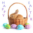 Fluffy foxy rabbit in basket with Easter eggs isolated on white