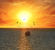 Sailing Boat At The Sunset