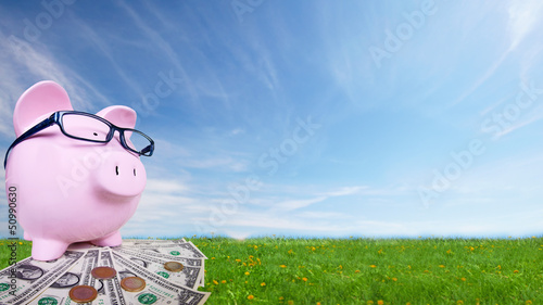 Photo: Piggy bank with money. Piggy bank with money.