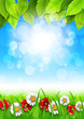 Vector: Spring background with daisies and poppies Spring background with daisies and poppies