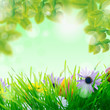 frühling/sommer