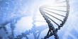 DNA molecule