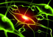 Illustration of a nerve cell