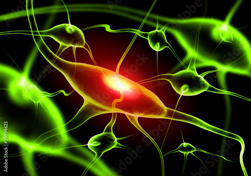 Photo: Illustration of a nerve cell Illustration of a nerve cell