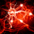Illustration of a nerve cell