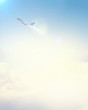 Image of airplane in sky