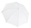 white photo umbrella isolated with clipping path included