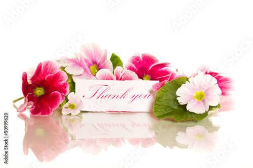 Photo: Begonia flowers Begonia flowers