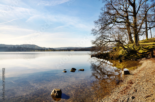 Photo: Trees on the shore of Lake Windermere Trees on the shore of Lake Windermere