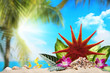 Tropical landscape