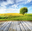 Empty table for Your photo montage